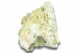 Green, Bladed Prehnite Crystals with Quartz - Morocco #255518-1